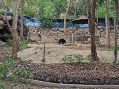 -清迈夜间动物园