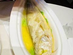 -乐和餐饮(河西大街店)