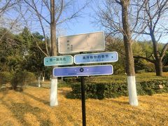-徐州龟山景区