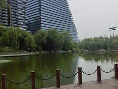 -西安曲江寒窑遗址公园