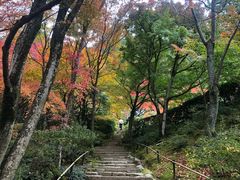 -常寂光寺