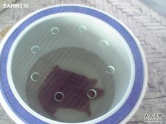 -松声马术俱乐部