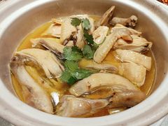 神仙鸡-天福苑(崇宁路店)