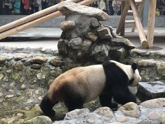 -西安秦岭野生动物园