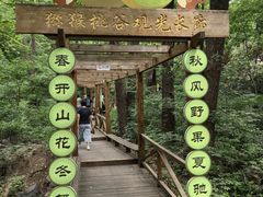 -大岭沟猕猴桃谷风景区