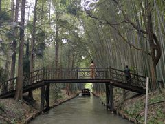 -同里国家湿地公园