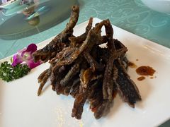 -新聚丰菜馆(太监弄店)