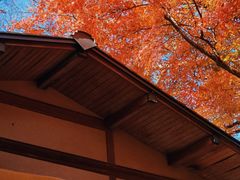-三千院
