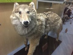 -陕西自然博物馆