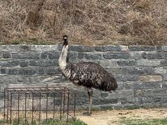 -清风小镇闯关东影视基地