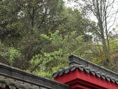 -峨眉山报国寺