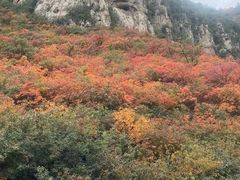 -杭州半山国家森林公园