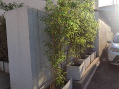 -福院