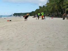 -白沙滩