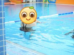 -戊辰亲子游泳俱乐部