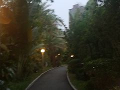 -碧桂园润杨溪谷温泉酒店