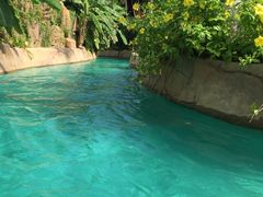 -亚马逊丛林水乐园