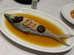 花雕酒蒸鲥鱼-望乡楼上海菜(陆家浜路店)