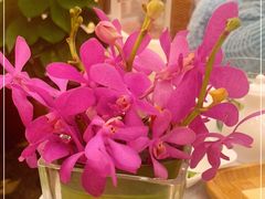 -阿诺泰·泰国餐厅(紫荆店)