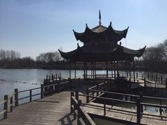 -溱湖国家湿地公园