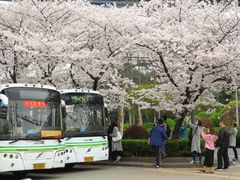 -上海南浦大桥长途旅游客运站
