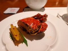 -觀芷隐轩