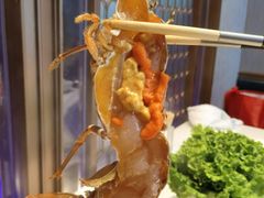 -海月轩海鲜豆捞(紫金塔店)