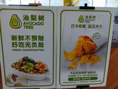 -油梨树AVOCADO TREE(望京店)