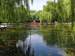 -玲珑塔公园