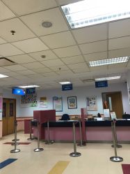 -上海交通大学医学院附属上海儿童医学中心(陆家嘴总院区)