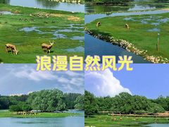 -南海子公园