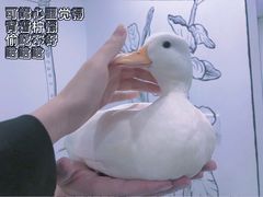 -白夜2D咖啡馆