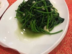 -化州大众美食城(宝安老牌店)
