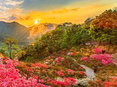 -篁岭景区