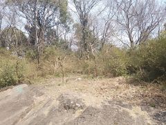 -苏州上方山国家森林公园