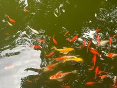 -狼山风景名胜区