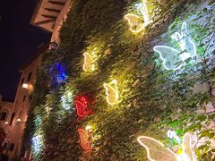 -华谊兄弟（长沙）电影小镇