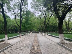 -山东大学(趵突泉校区)