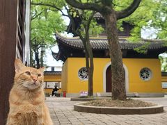 -西园戒幢律寺