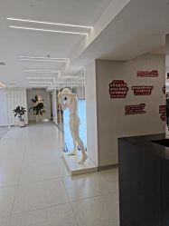 -魔型社烫染店