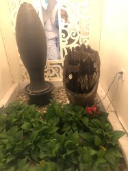 -伊芙世家美颜美养SPA