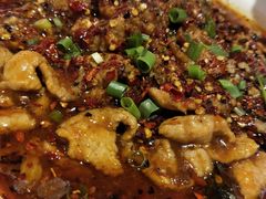 水煮肉片-国人川菜(李家村建东街店)