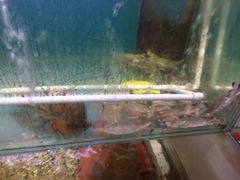 -赶海部落海鲜城(海阳路店)