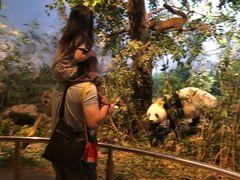 -陕西自然博物馆