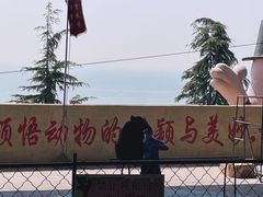 -东方熊牧场