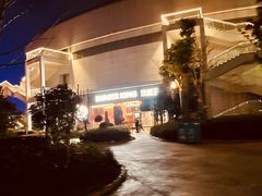 -汉堡王(海昌海洋公园店)