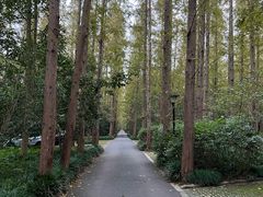 -上海怡沁园度假酒店