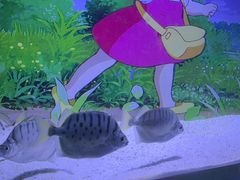 -常州海昌海洋探索馆