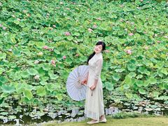 -沐仙湖湿地公园