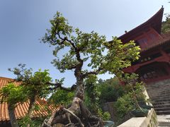 -南沙天后宫景区